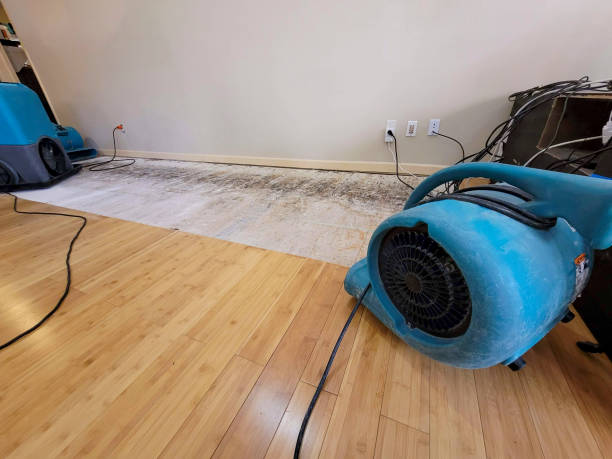 Professional Flood Damage Cleanup technician working in Mabscott, WV